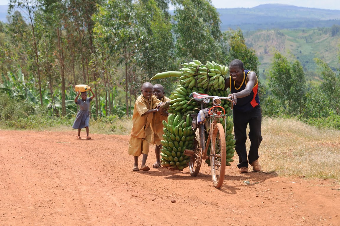 де ростуть банани в Африці