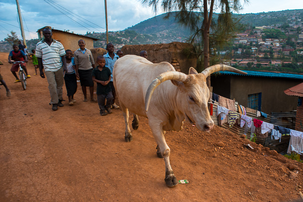 Руанда, Кігалі.