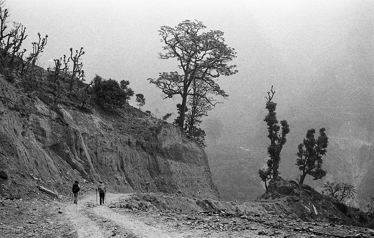 Гімалаї весною